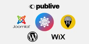 Game-Changing CMS for Publishers: Unleashing RebelMouse