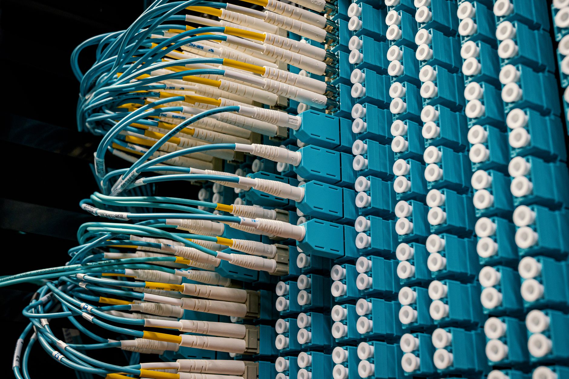 Detailed view of fiber optic patch cables connecting to a blue patch panel in a data center. — Internet Marketing 101: Online